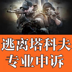 逃离塔科夫申诉英文代写信英文XDD/AC/网吧229/LE/手机译文翻译专八 包售后 稳过